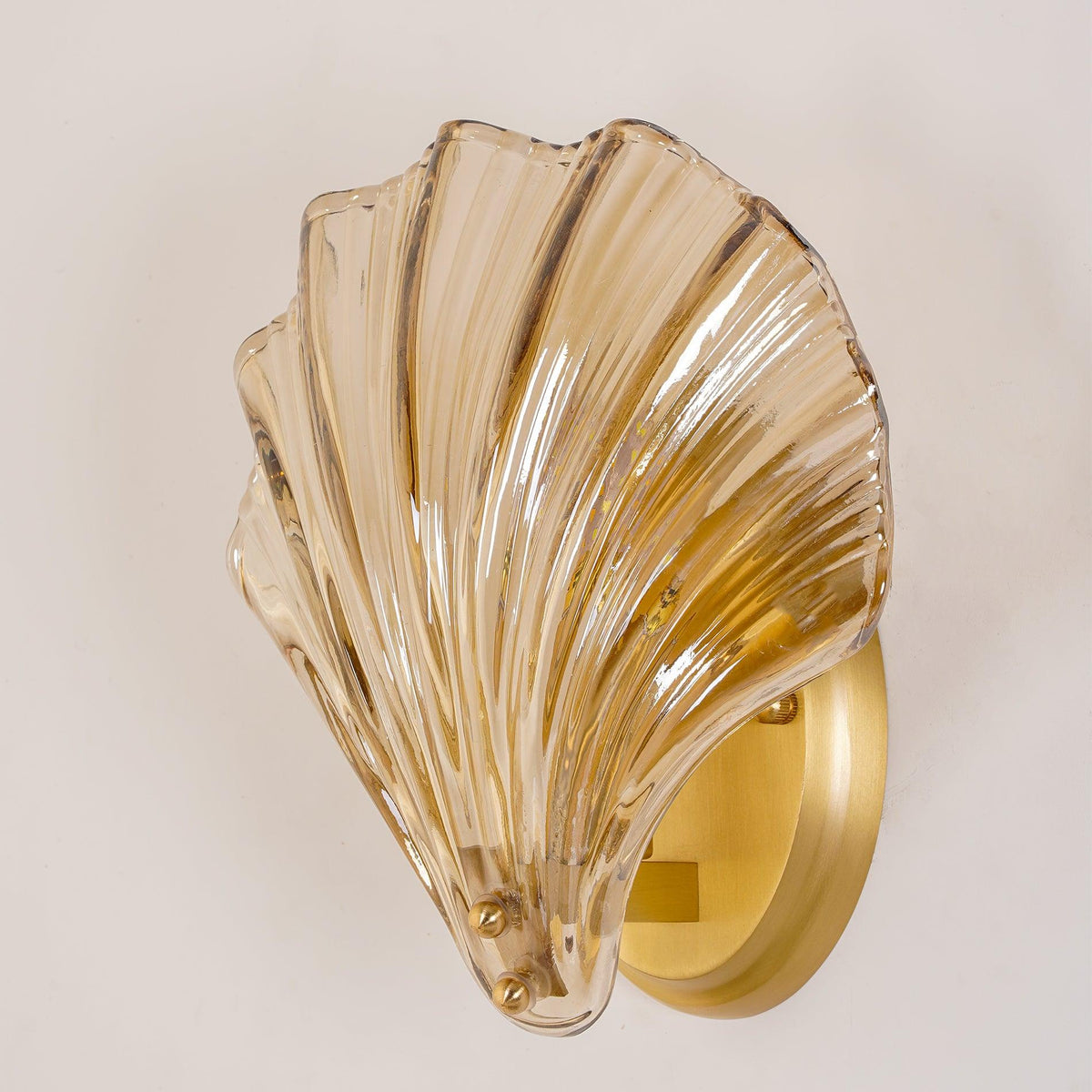 Shell Wall Light product view