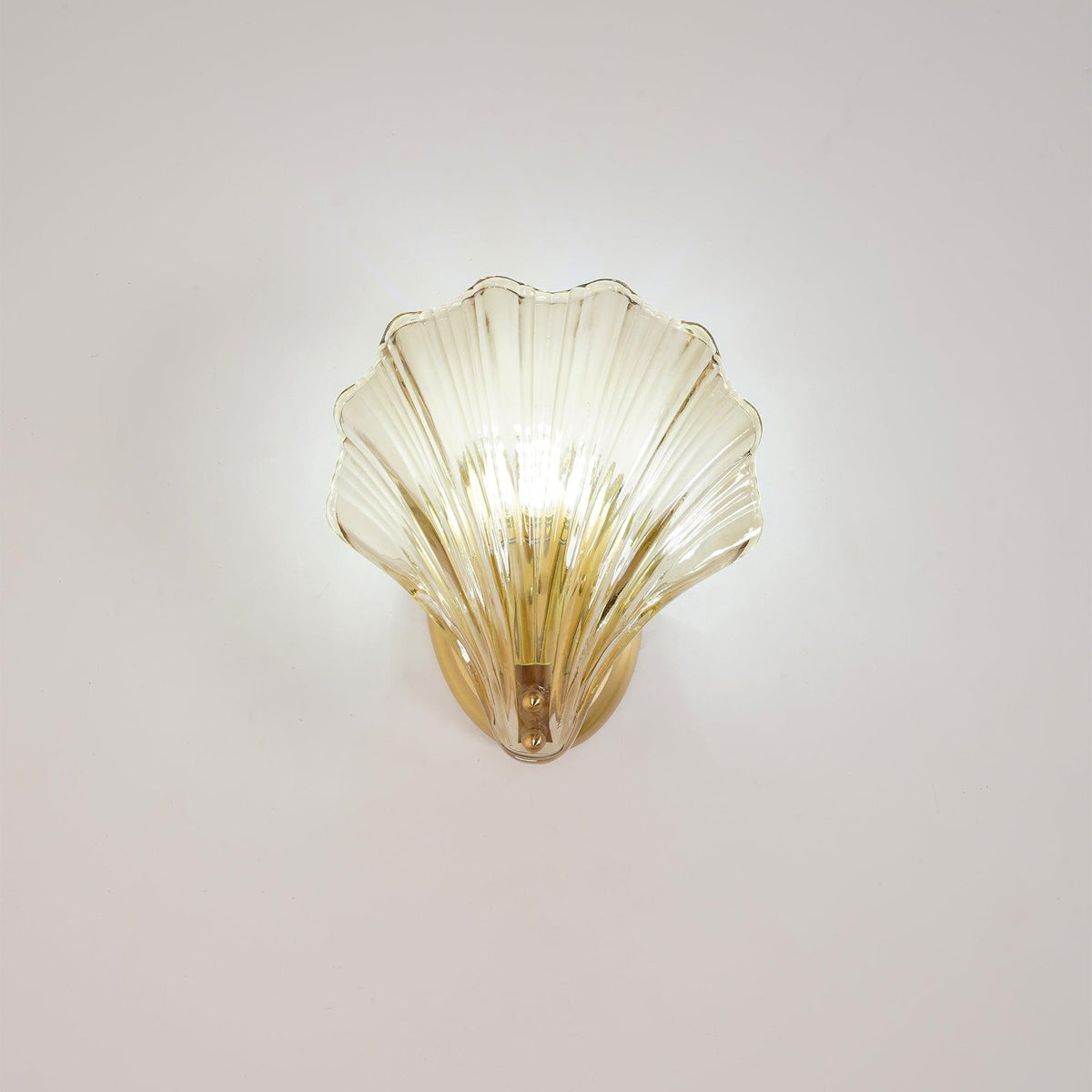 Shell Wall Light product view