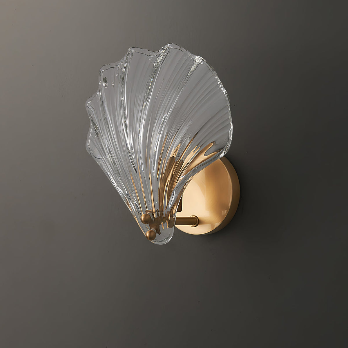 Shell Wall Light product view
